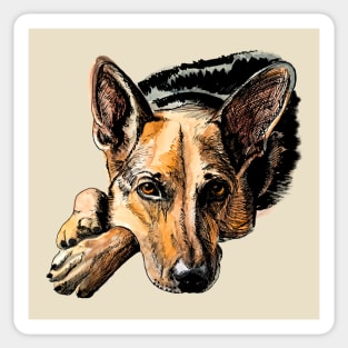 German shepherd Sticker